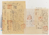 藏品(陳糖等向林約觀立賣杜絕盡根園契)的圖片